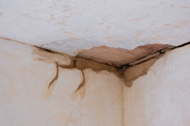 Best Carpet water damage restoration  in Oyster Creek, TX