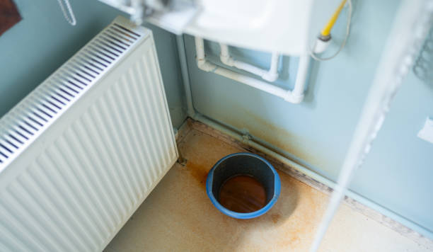 Best Water damage cleanup near me  in Oyster Creek, TX
